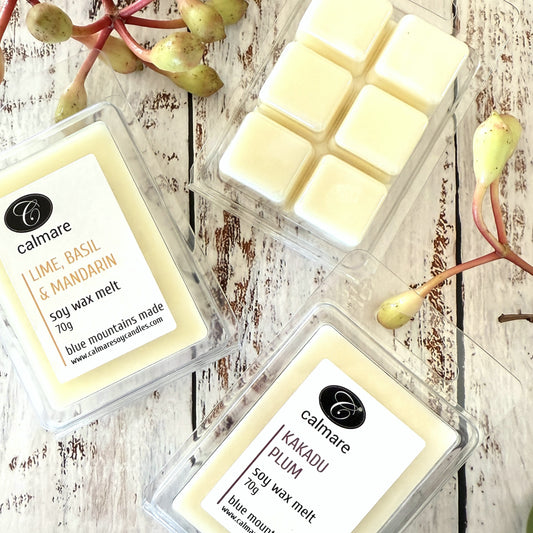 2. Wax Melts